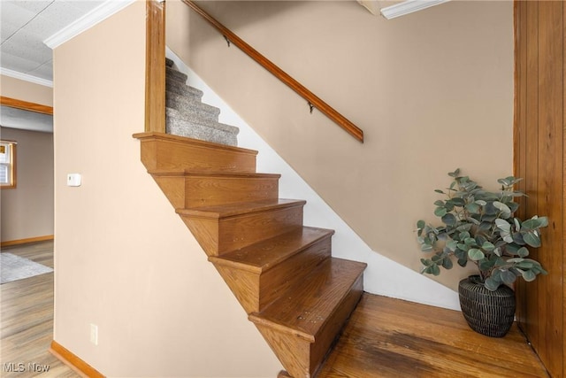 stairs featuring ornamental molding and hardwood / wood-style floors