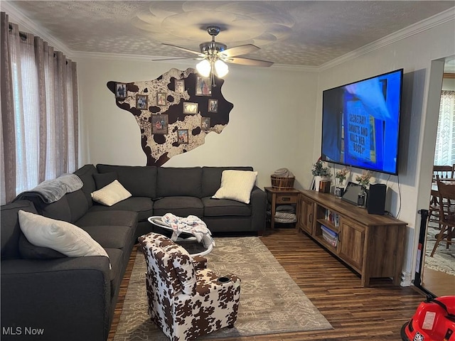 living room with ceiling fan, dark hardwood / wood-style flooring, a textured ceiling, and ornamental molding