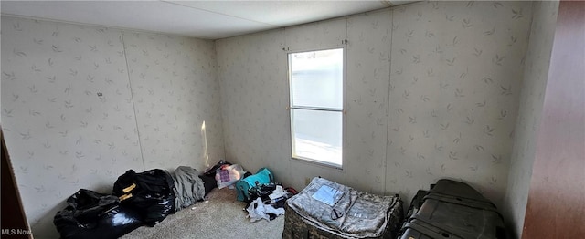 misc room featuring a healthy amount of sunlight and carpet flooring