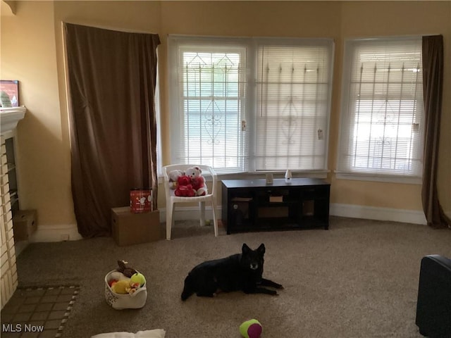 rec room with carpet flooring and a fireplace