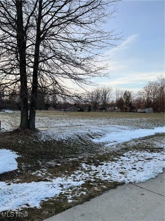 view of yard covered in snow