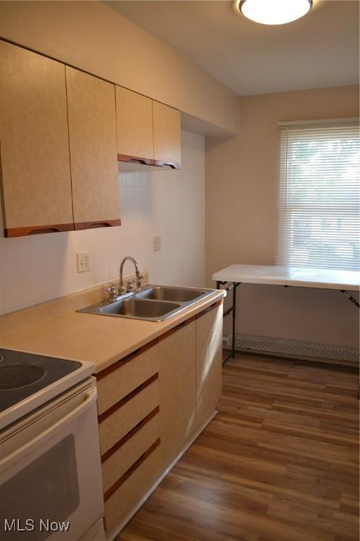 kitchen featuring dark wood-type flooring, electric range, and sink