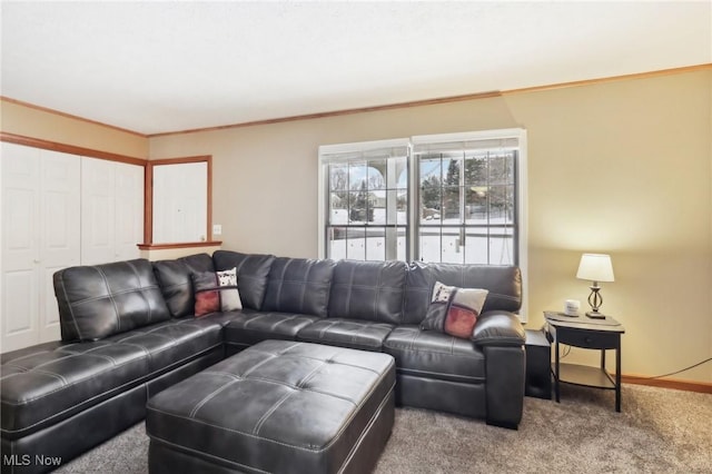 carpeted living room featuring crown molding