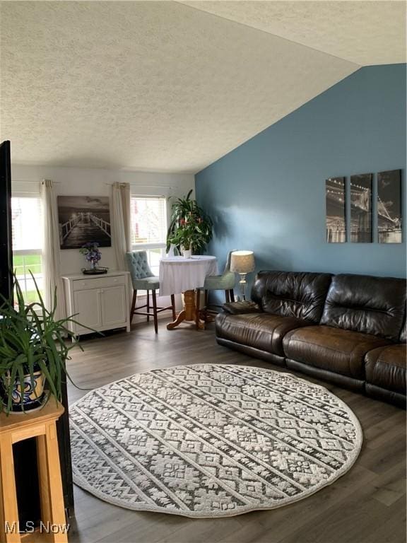 living room with vaulted ceiling, a textured ceiling, a healthy amount of sunlight, and hardwood / wood-style floors