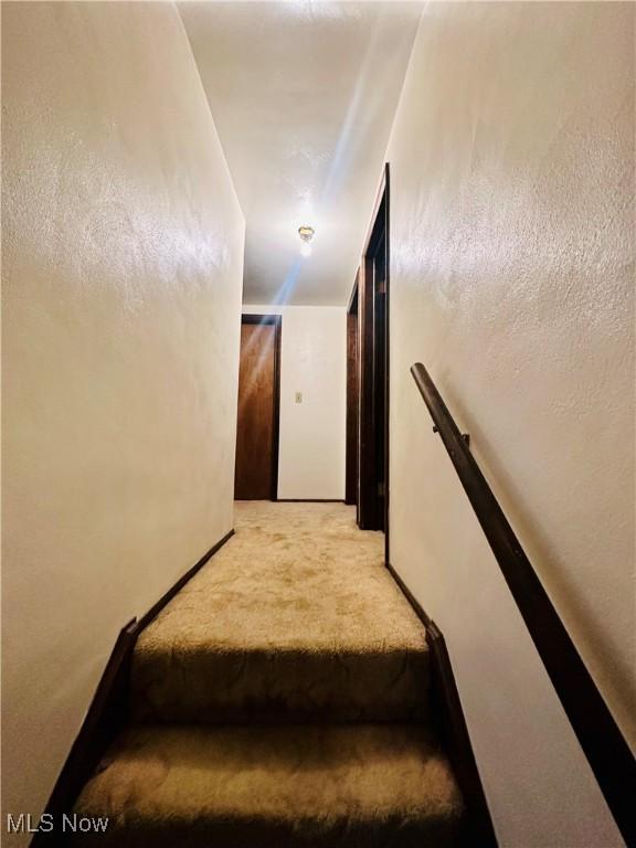 stairs featuring carpet