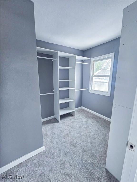 unfurnished bedroom with carpet floors