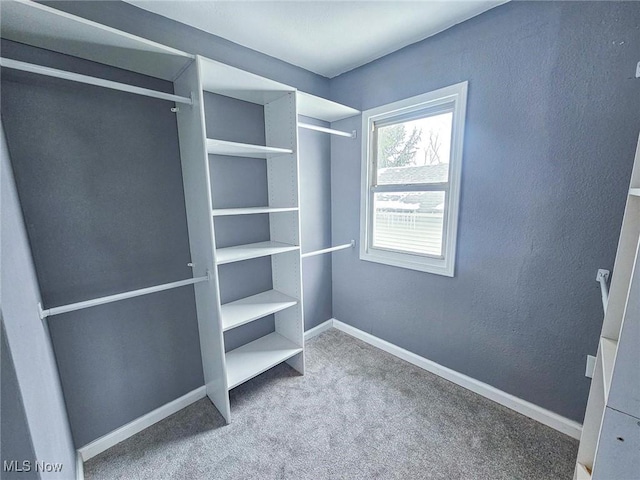 spacious closet with carpet floors