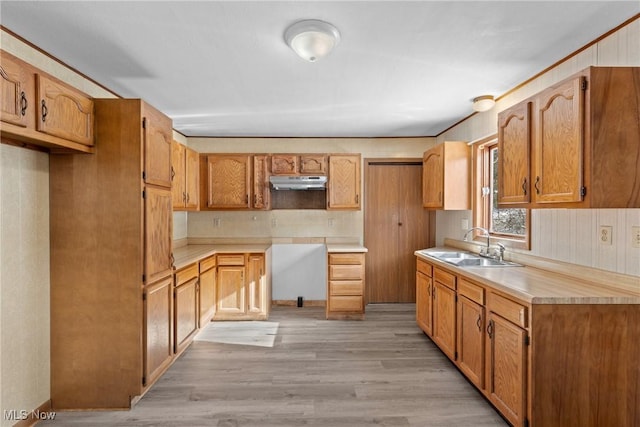 kitchen with sink and light hardwood / wood-style flooring