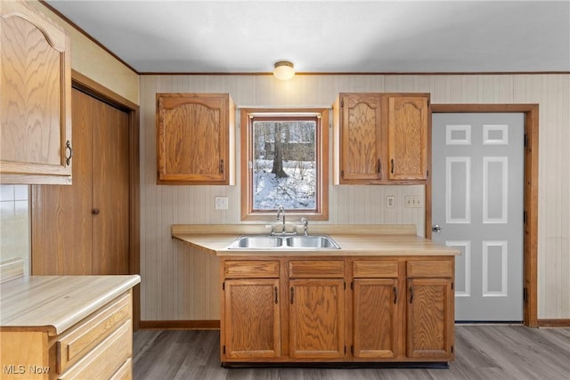 kitchen featuring light wood-type flooring and sink