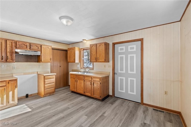 kitchen featuring sink and light hardwood / wood-style flooring