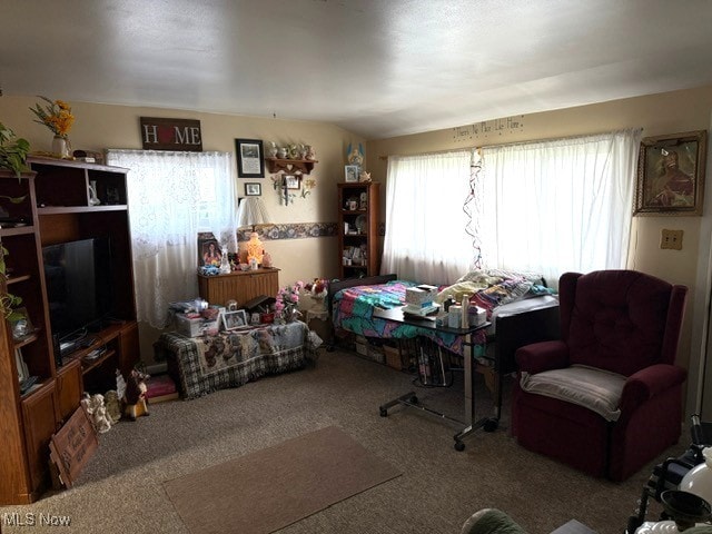 interior space with carpet floors