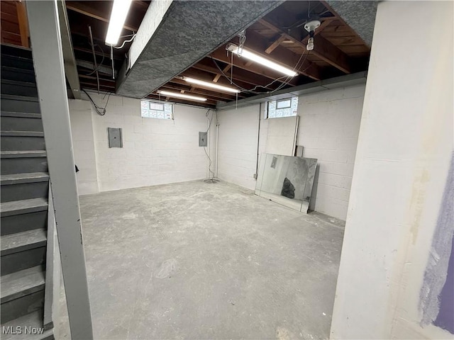 basement featuring plenty of natural light and electric panel