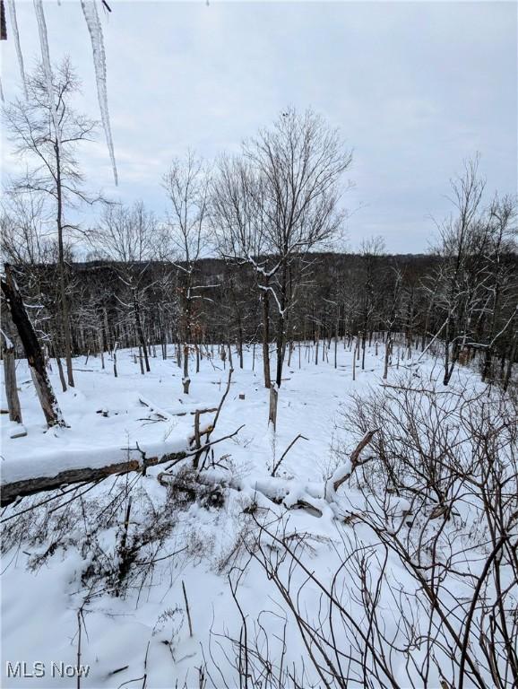 view of yard layered in snow