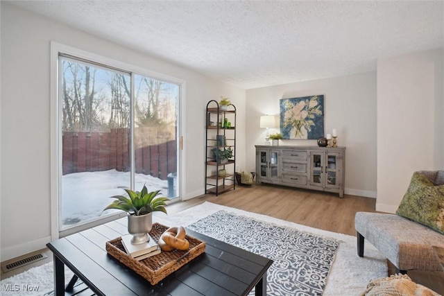 living room featuring a textured ceiling and light hardwood / wood-style flooring