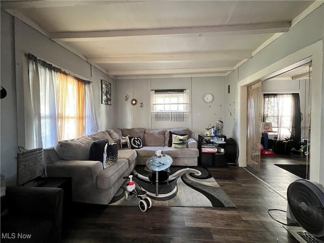 living room with dark wood-type flooring and beam ceiling