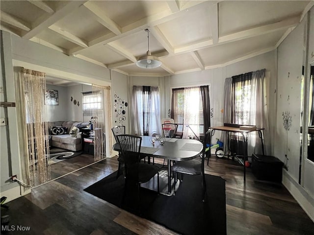 dining room with dark hardwood / wood-style flooring