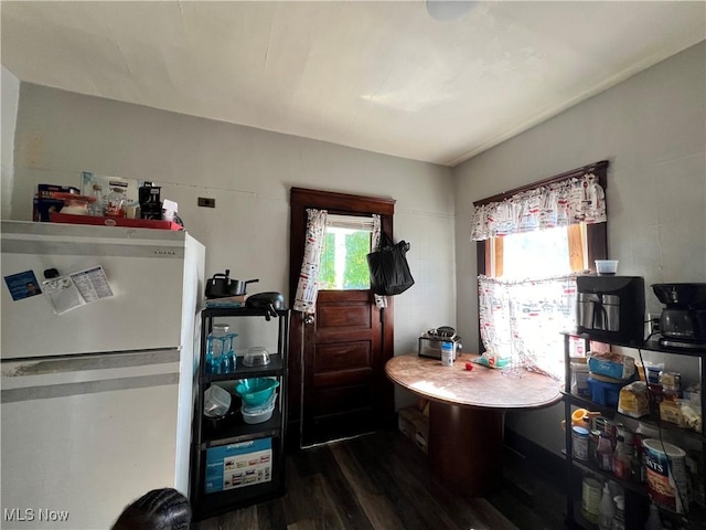 kitchen with a wealth of natural light, white refrigerator, and dark hardwood / wood-style flooring