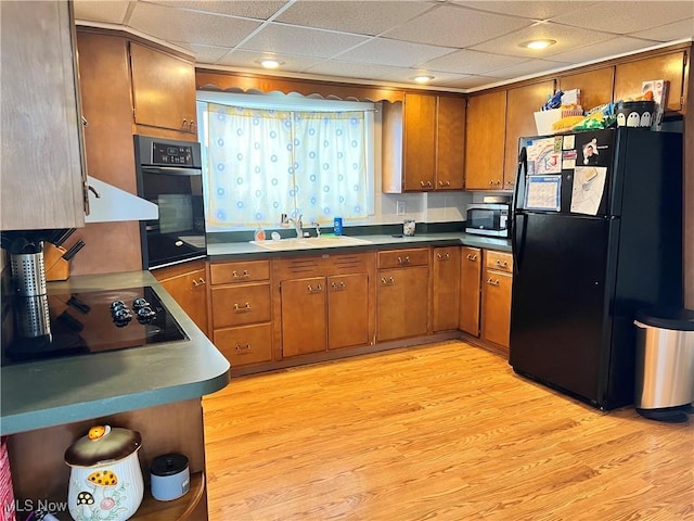 kitchen with a paneled ceiling, sink, light hardwood / wood-style floors, and black appliances