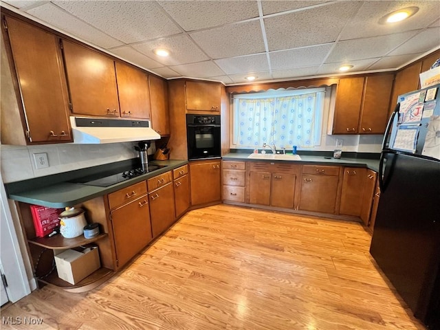 kitchen with sink, light hardwood / wood-style flooring, a drop ceiling, and black appliances