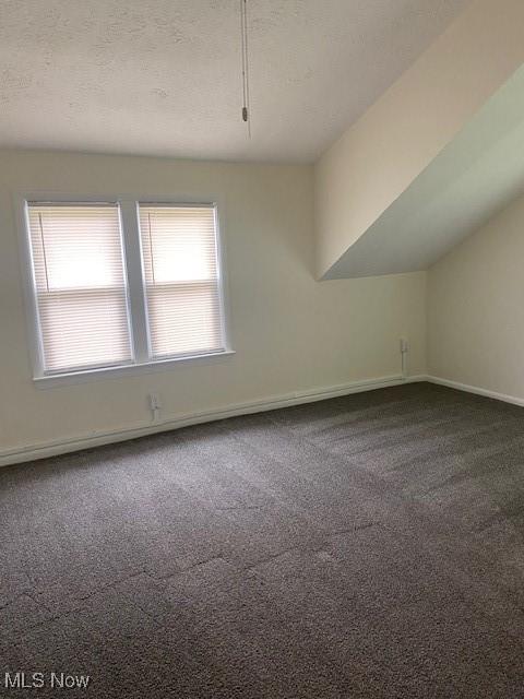 additional living space featuring carpet, vaulted ceiling, and a textured ceiling