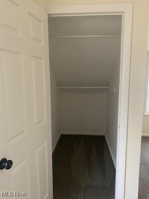 view of closet