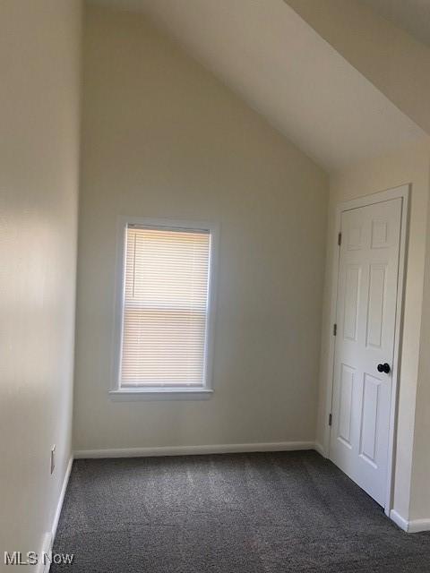 carpeted empty room featuring lofted ceiling