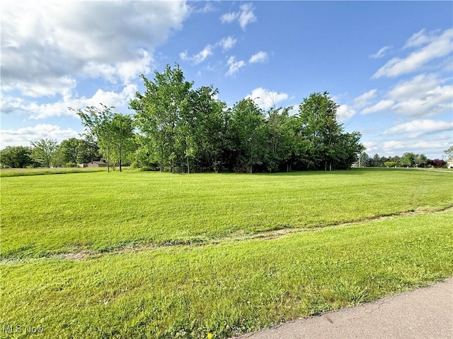 49556 Foxwood Ln, East Palestine, OH 44413 - photo 1