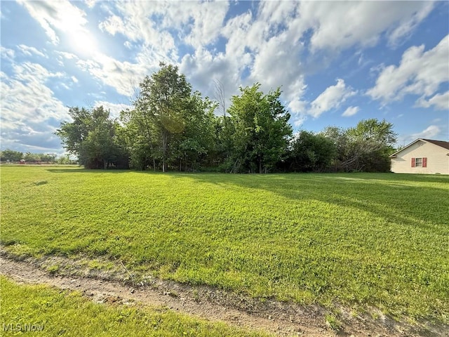 49556 Foxwood Ln, East Palestine, OH 44413 - photo 5