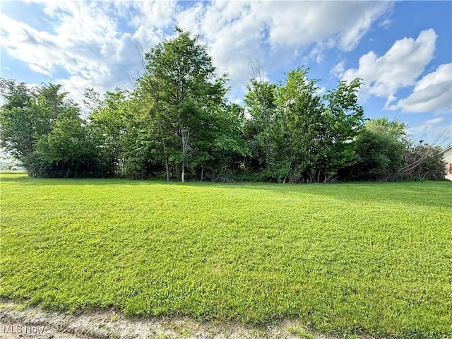 49556 Foxwood Ln, East Palestine, OH 44413 - photo 6