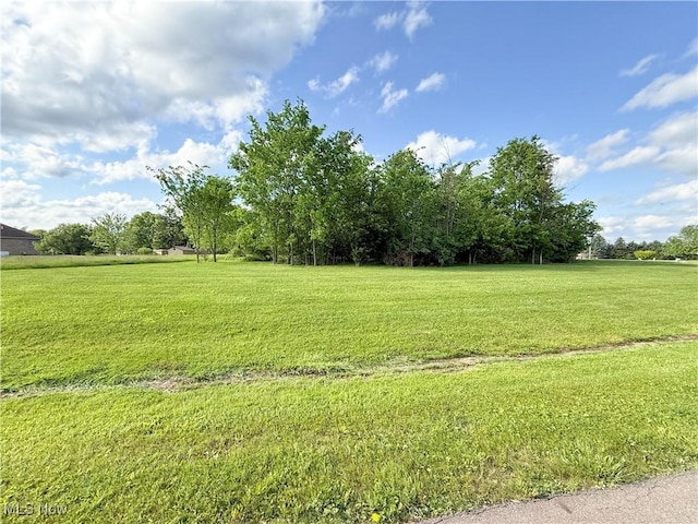 49556 Foxwood Ln, East Palestine, OH 44413 - photo 7