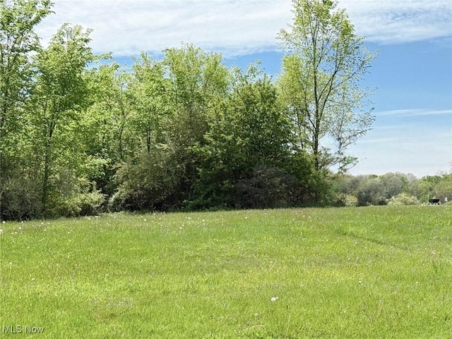 49587 Foxwood Ln, East Palestine, OH 44413 - photo 4