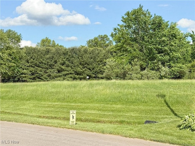 49587 Foxwood Ln, East Palestine, OH 44413 - photo 5