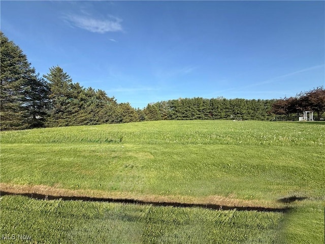 49631 Foxwood Ln, East Palestine, OH 44413 - photo 7