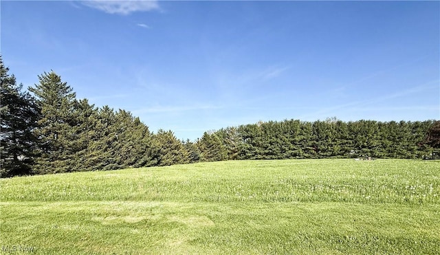 49631 Foxwood Ln, East Palestine, OH 44413 - photo 8