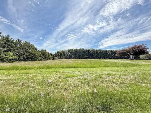49631 Foxwood Ln, East Palestine, OH 44413 - photo 2