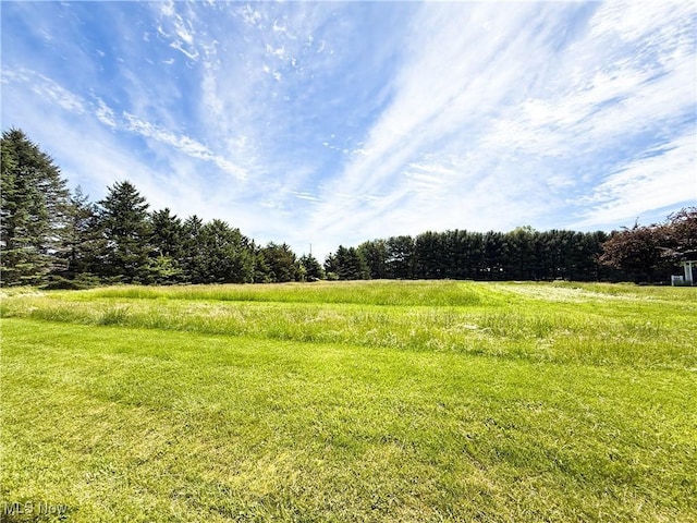 49631 Foxwood Ln, East Palestine, OH 44413 - photo 3