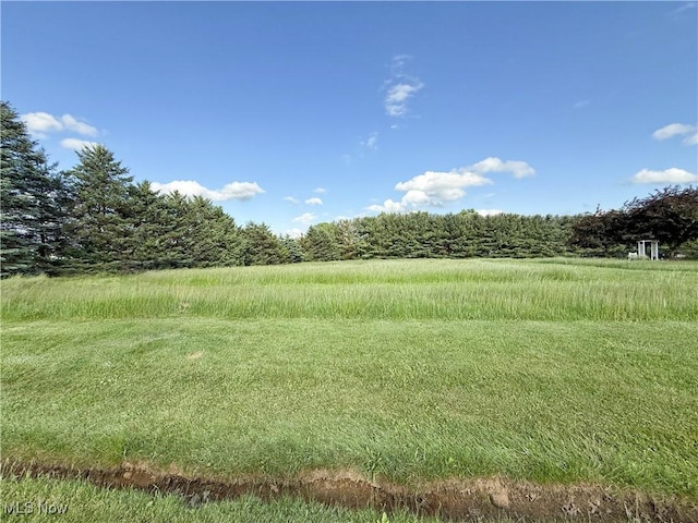 49631 Foxwood Ln, East Palestine, OH 44413 - photo 4