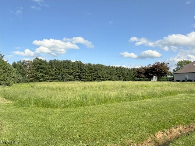 49631 Foxwood Ln, East Palestine, OH 44413 - photo 6