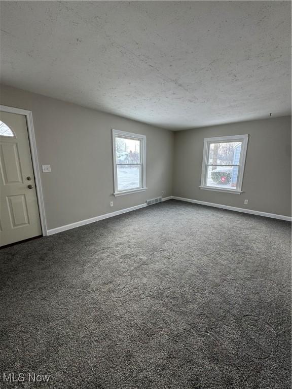 carpeted empty room with a textured ceiling and a healthy amount of sunlight