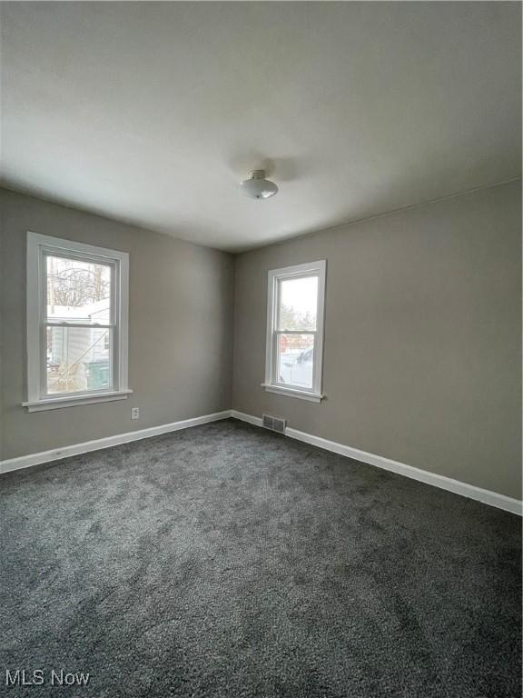 carpeted empty room featuring a wealth of natural light