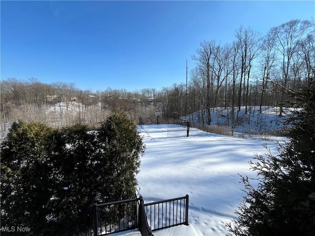 view of yard covered in snow