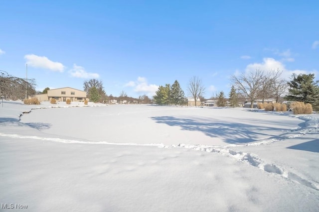 view of yard covered in snow