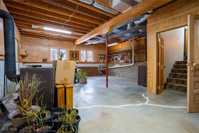 basement with wooden walls