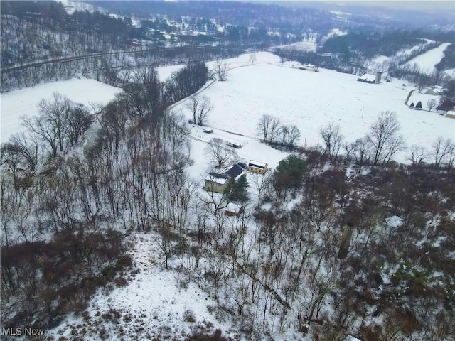 view of snowy aerial view