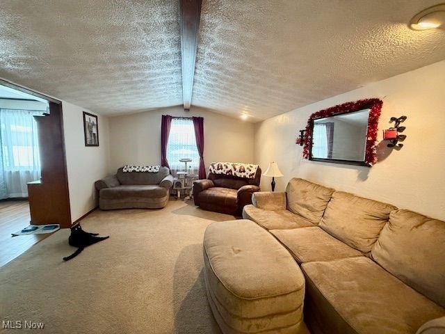 carpeted living room with a textured ceiling and lofted ceiling