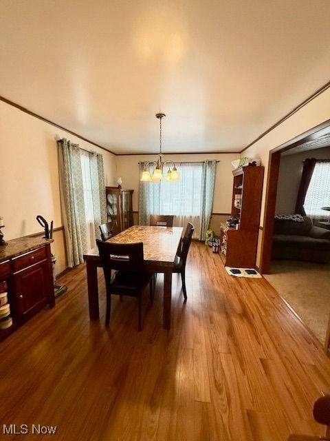 dining space with wood-type flooring, a wealth of natural light, and an inviting chandelier