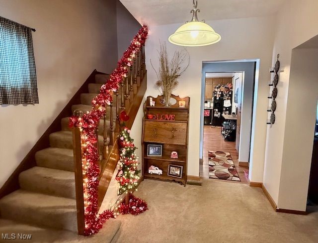 stairs featuring carpet flooring