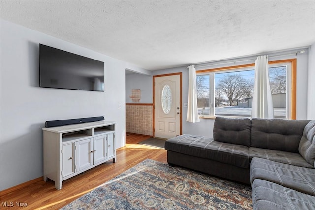 living room featuring a healthy amount of sunlight, a textured ceiling, and light hardwood / wood-style floors