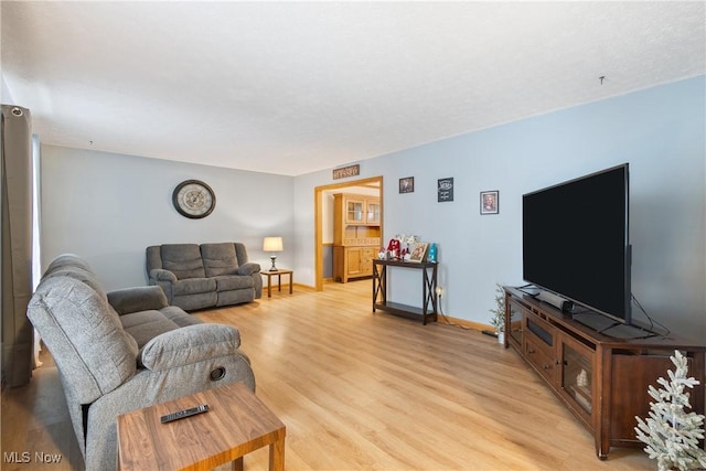 living room with light hardwood / wood-style flooring