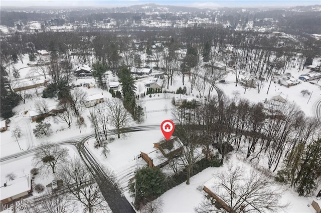 view of snowy aerial view